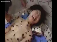 Skinny Asian teen in BDSM restraints helpless while covered in bugs